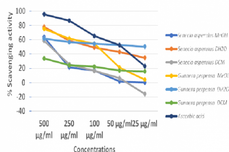 Antioxidant activity with DPPH assay