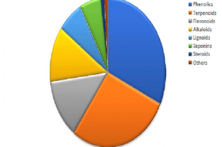 Class of phytocompounds studied against HcoVs