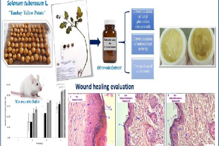 Graphical Abstract