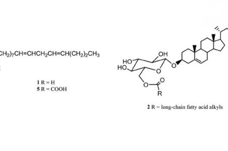 The Alkaloid Fraction from Melicope latifolia Leaves Inhibits Hepatitis C Virus