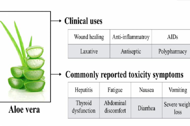 GRAPHICAL ABSTRACT