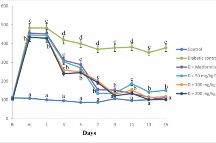 Effect of oral administration of aqueous stem bark extract of P. suberosa on blood glucose levels in diabetic rats (n = 5, mean ± SEM). BI= Before induction, AI= After induction