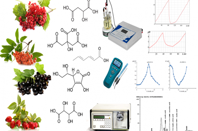 GRAPHICAL ABSTRACT