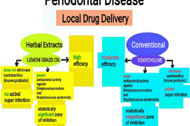 GRAPHICAL ABSTRACT