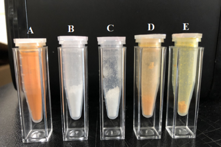 The images of A) Curcuminoids; B) HEPC; C) Cholesterol; D) Physical mixture; E) Curs-Phyto.