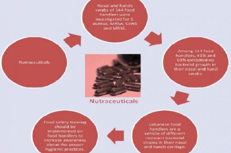 Graphical Abstract