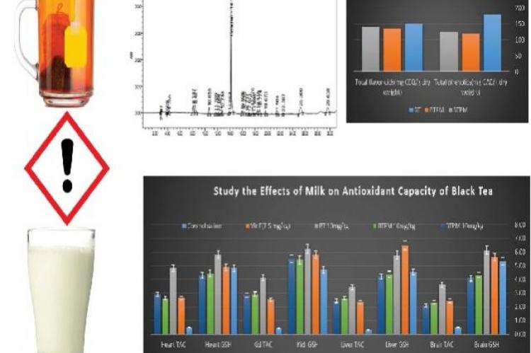 Graphical Abstract