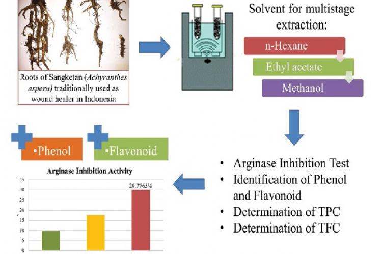 Graphical Abstract