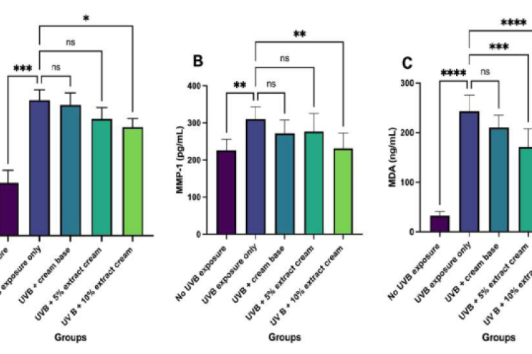 (A) CPD levels, (B) MMP-1 levels, and (C) MDA levels. *P ≤ 0.05, **P ≤ 0.01, ***P ≤ 0.001, ****P ≤ 0.0001 indicate significant differences; ns = not significant.