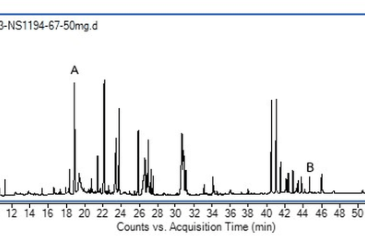 GC-MS peak of Cha-Nu-Rak formulation extract (A = DMPBD, B = β-Sitosterol)