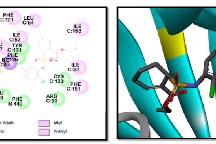 2D and 3D Interaction of Bioactive Compounds with TLR4