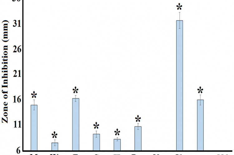 Antibacterial activity of the E. officinalis fruit extracts against P. mirabilis