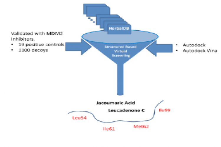 GRAPHICAL ABSTRACT