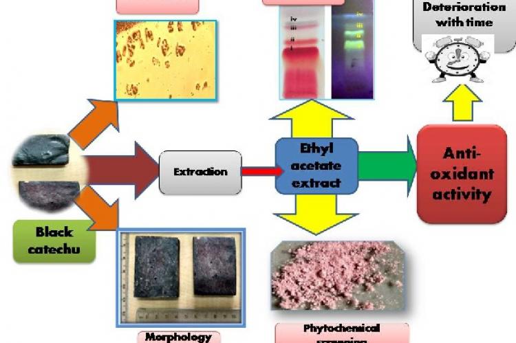 Graphical Abstract