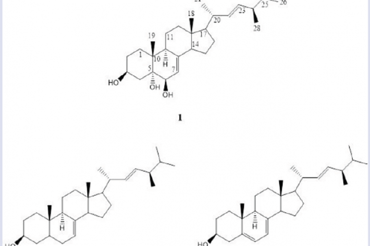 Chemical structures of cerevisterol (1), stellasterol (2) and ergosterol (3) from the dichloromethane extract of the fruiting bodies of L. tigrinus