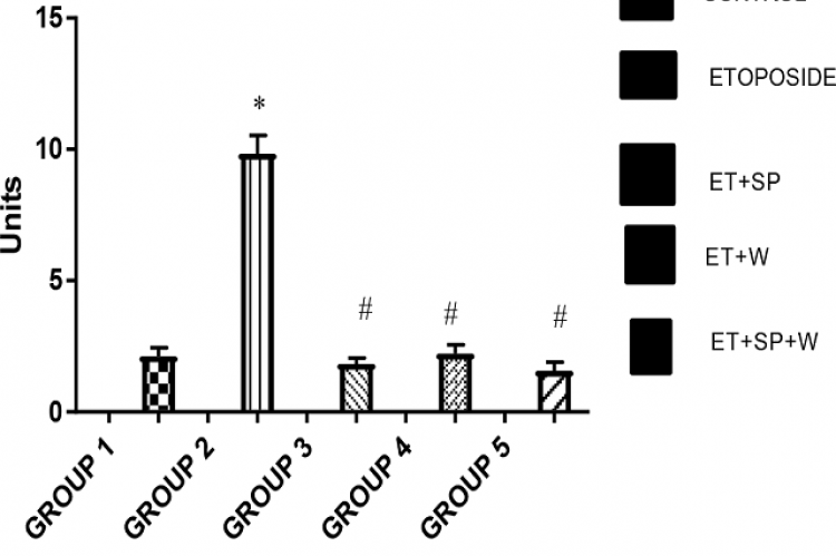 Estimation of MPO activity in Rats.