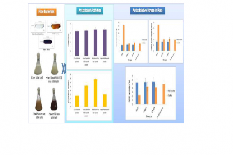 GRAPHICAL ABSTRACT