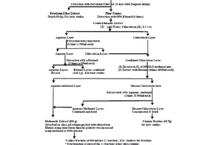 Figure 1: Isolation of Different Flavones from Artemisia monosperma (Delile)