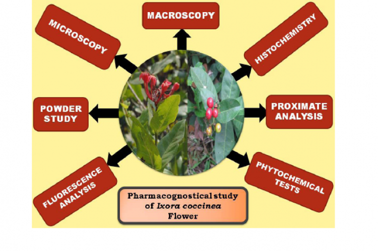 GRAPHICAL ABSTRACT