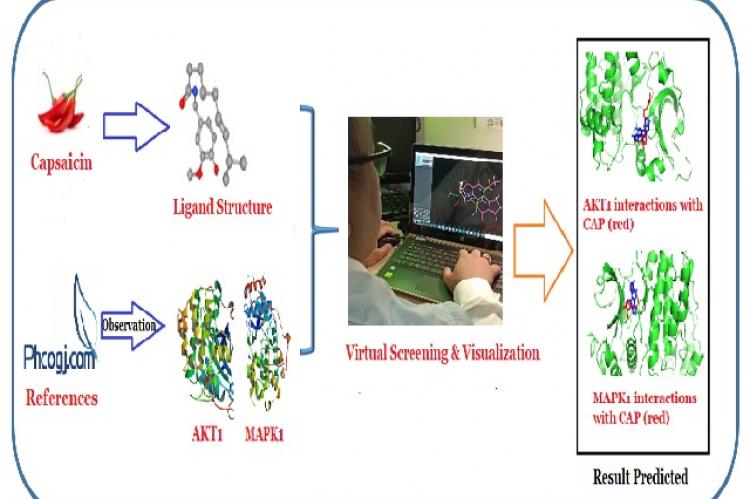 Graphical Abstract