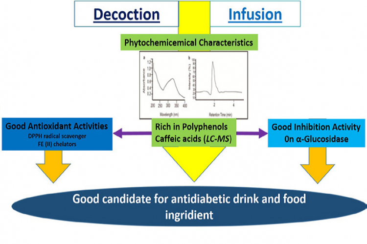 GRAPHICAL ABSTRACT