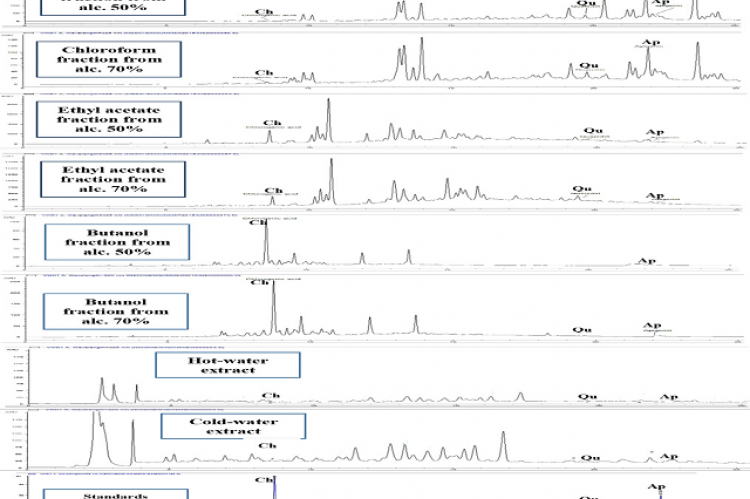 Reversed phase RP-HPLC-UV chromatograms of the fractions