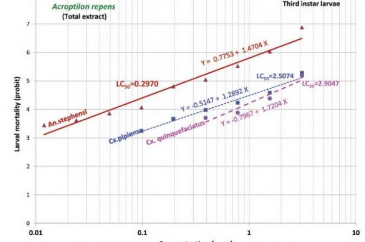 Comparative regression lines of total extract A. repens against third instar larvae of three species of mosquito vectors