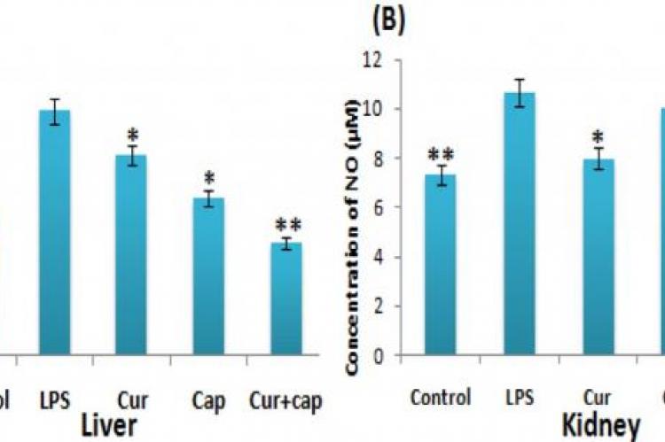 Effect of curcumin, capsaicin and their combination on NO release in the (A) Liver and (B) Kidneys of LPS-induced mice
