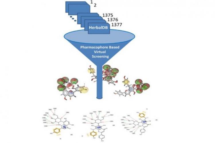 Graphical Abstract