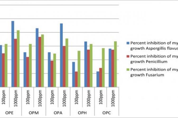 Antibacterial activities of ethanolic, methanolic, acetone, n-hexane and chloroform extracts of Oxalis pes-caprae at different concentrations