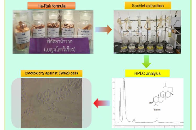 Graphical Abstract