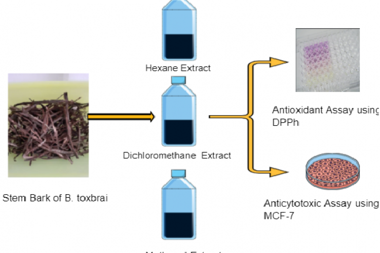 Graphical Abstract