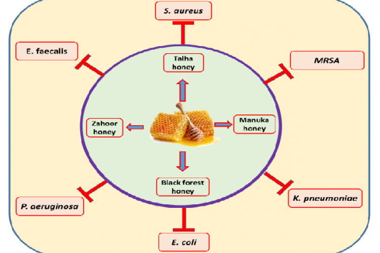 Graphical Abstract