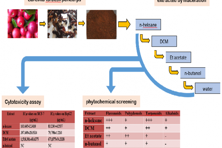 Graphical Abstract