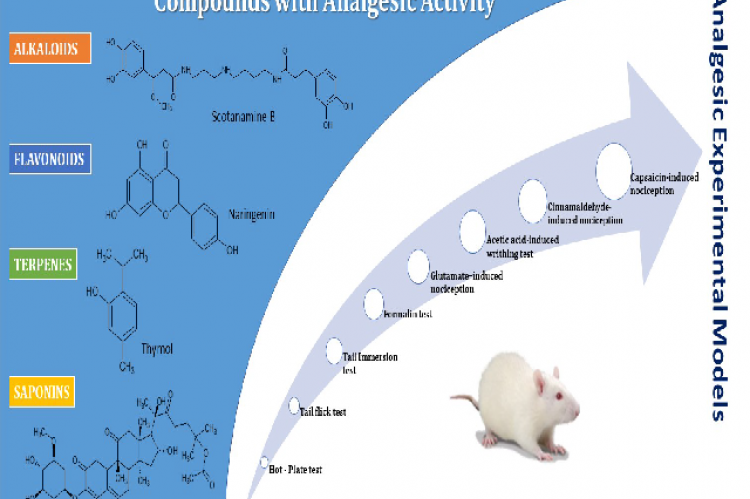 Graphical Abstract