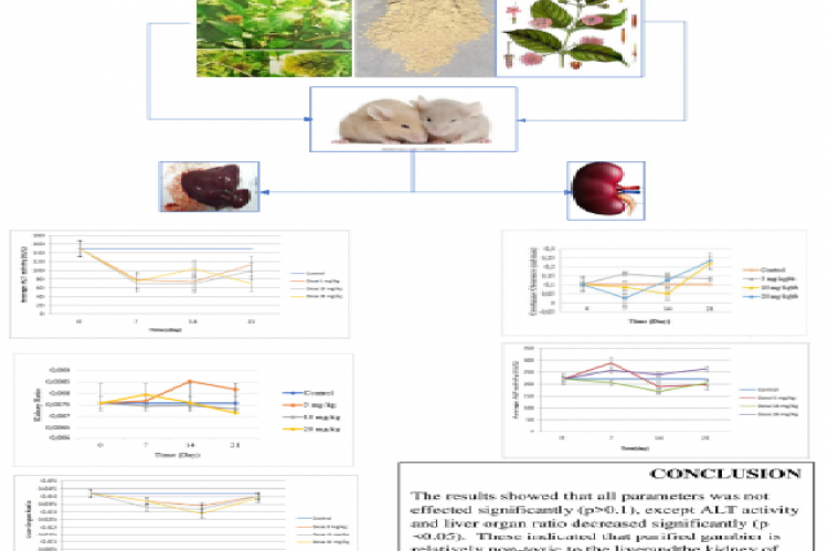 Graphical Abstract