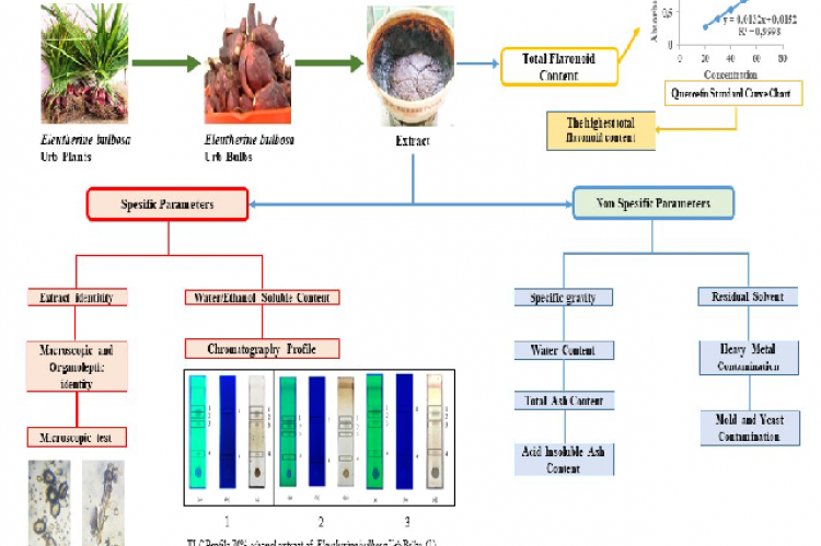 Graphical Abstract