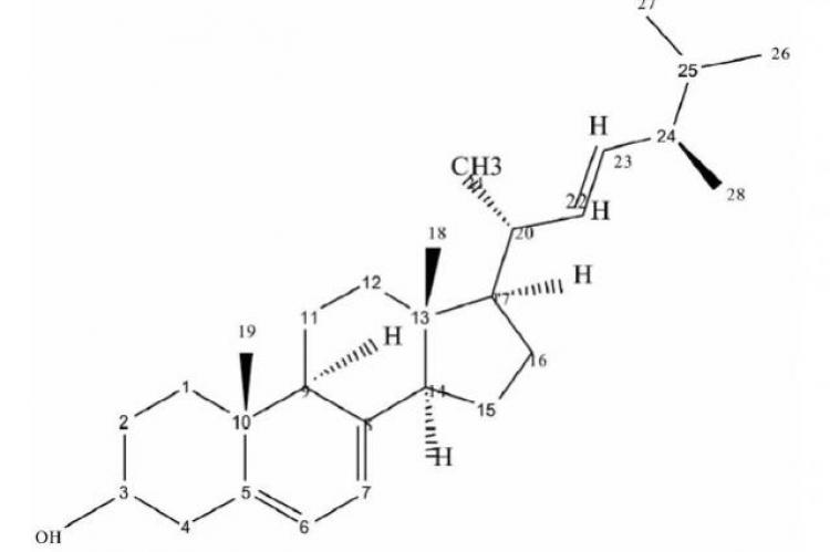 Ergosterol structure