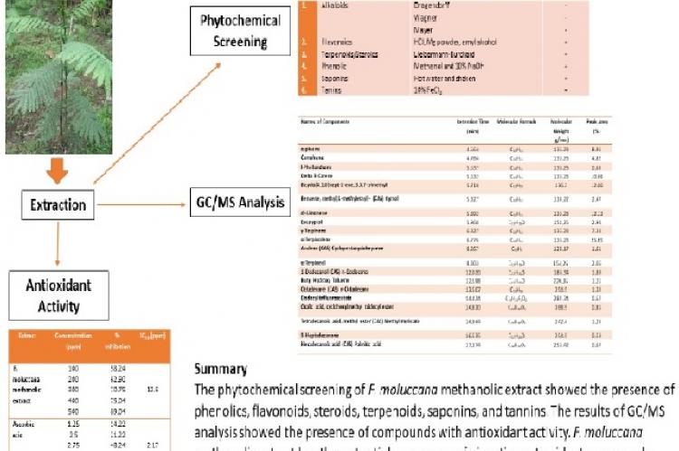 Graphical Abstract