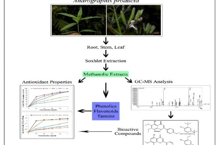 Graphical Abstract