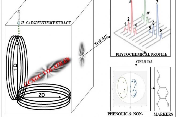 Graphical Abstract