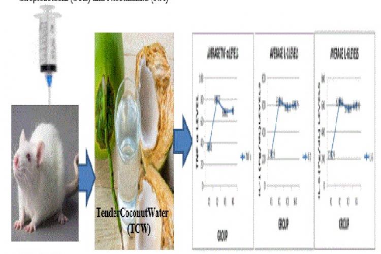 Graphical Abstract