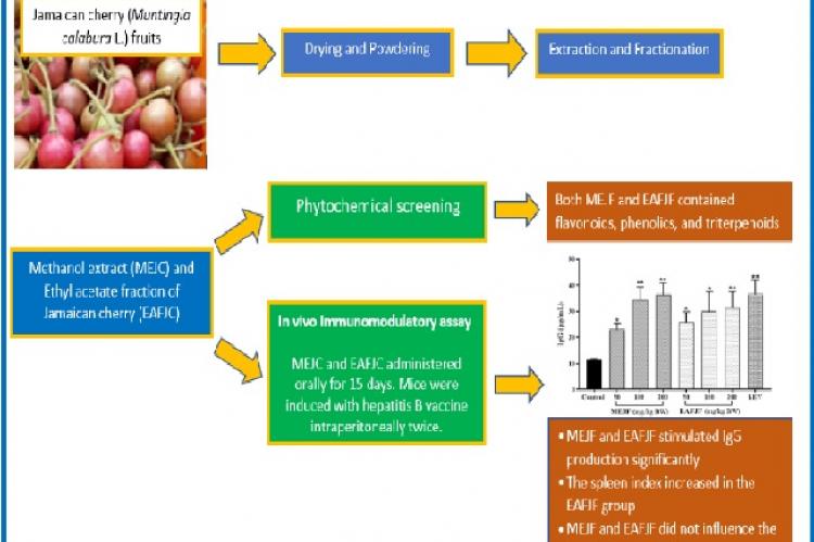 Graphical Abstract