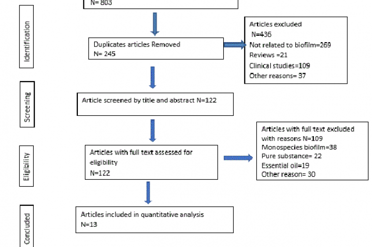 Different phases of a systematic review