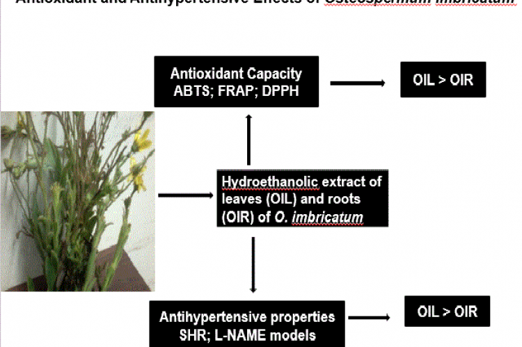 Graphical Abstract