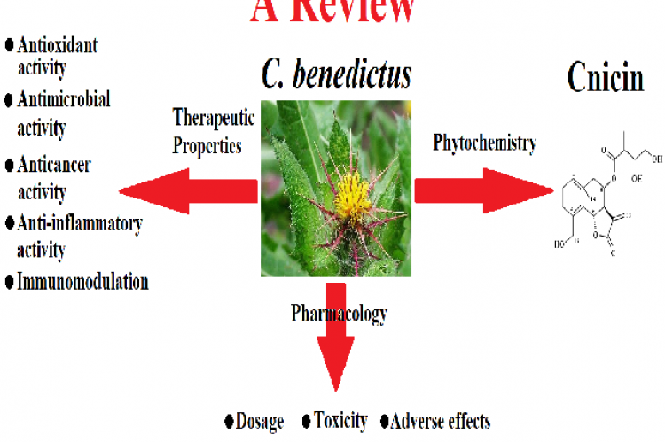 Graphical Abstract