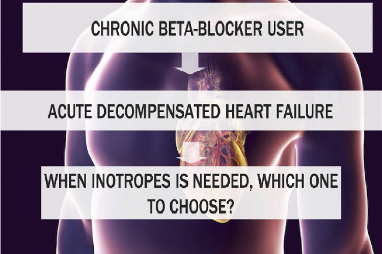 Graphical Abstract