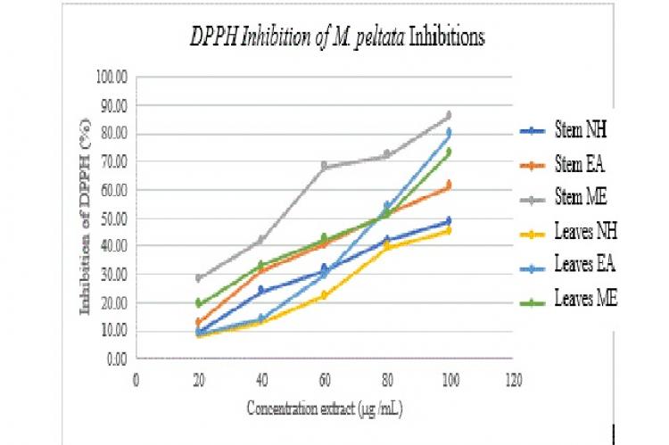 DPPH percent inhibitions of stem and leaves M. peltate