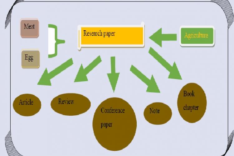 Graphical Abstract