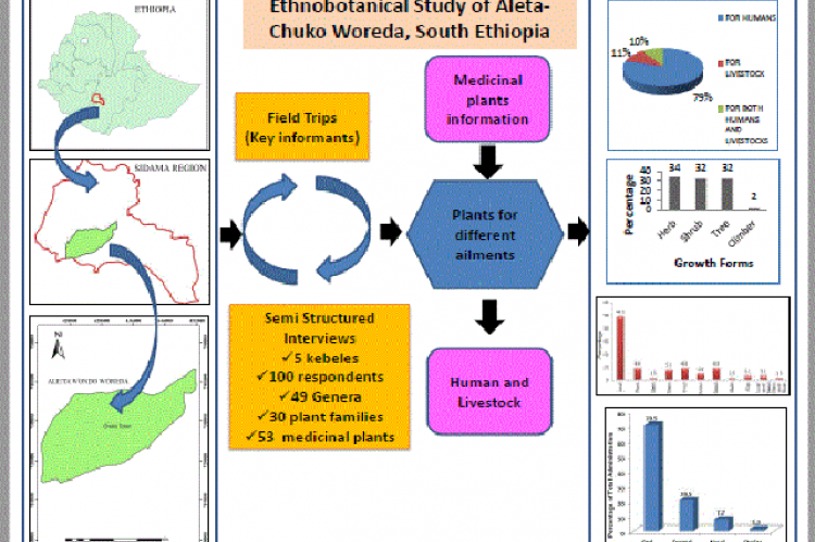 Graphical Abstract